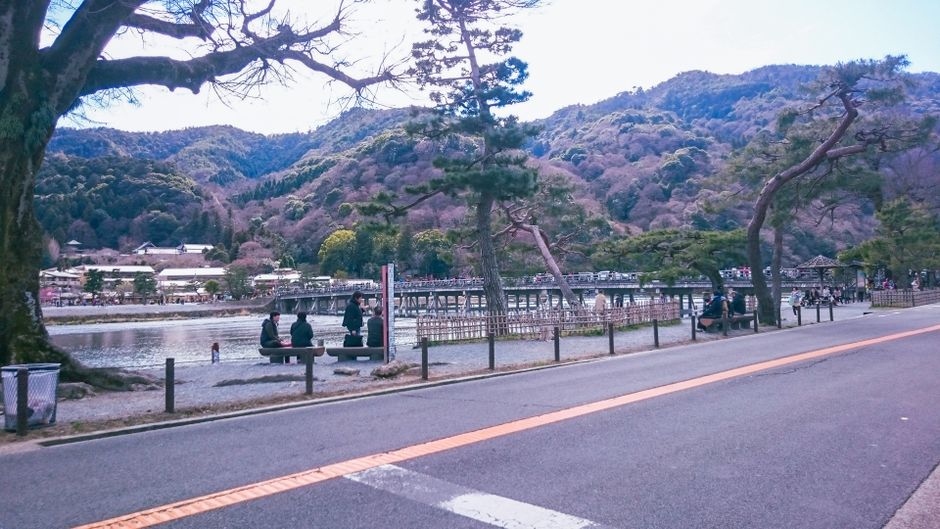 Arashiyama Nakanoshima Park Hanami (嵐山中之島公園花見)