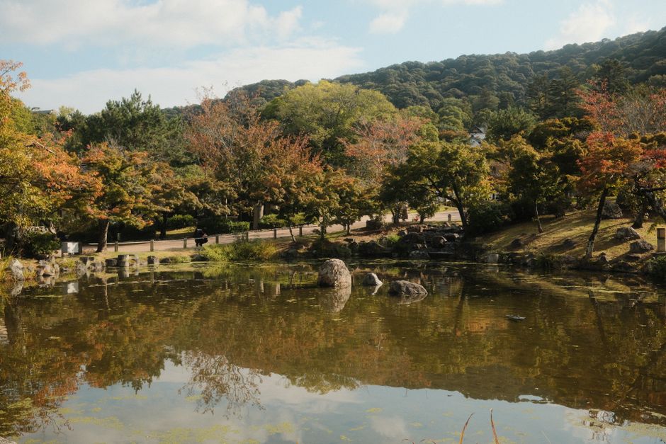 Eikan-dō Zenrin-ji Autumn Leaves (永観堂禅林寺紅葉)
