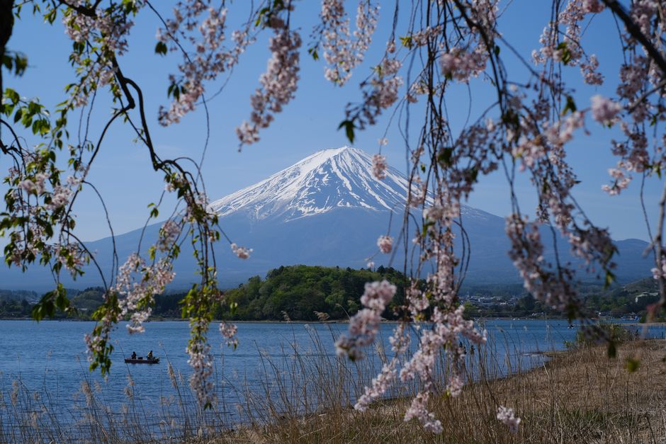 Kawaguchiko & Fuji Five Lakes Area