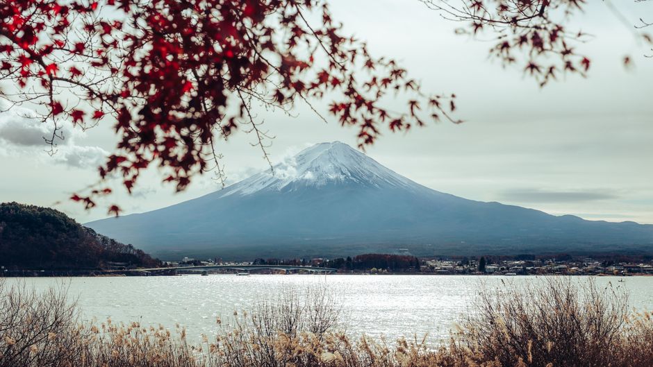 Kawaguchiko Autumn Leaves Festival