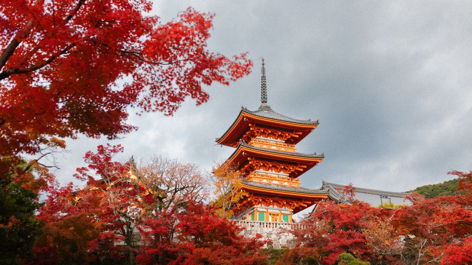 Godaisan & Chikurin-ji Temple Autumn Foliage