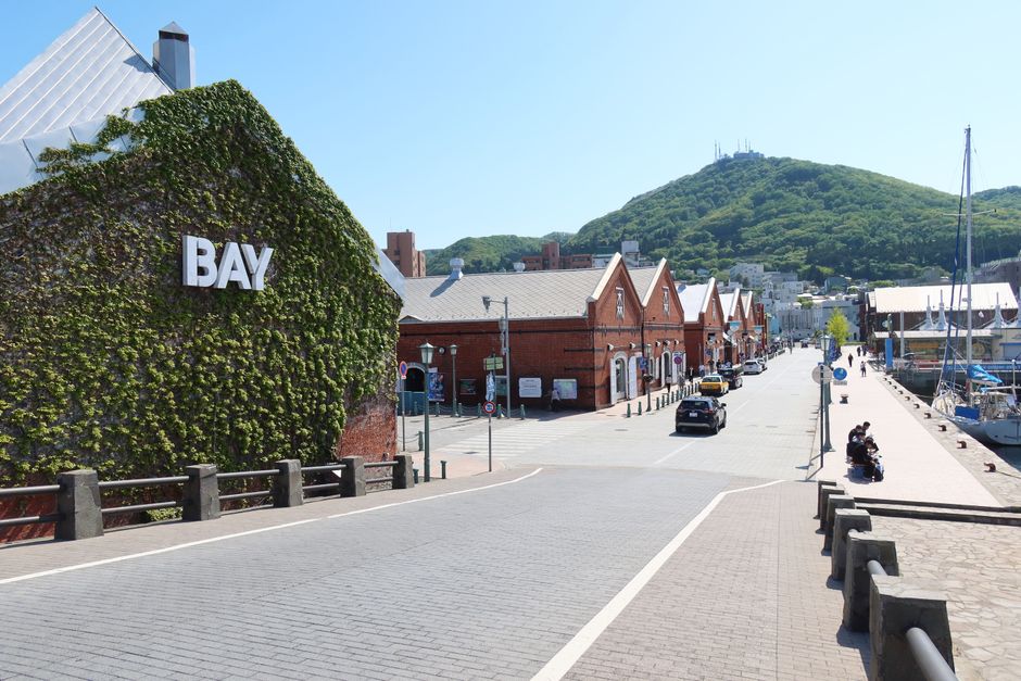 Hakodate Bay Cherry Blossom Cruise (函館湾さくらクルーズ)