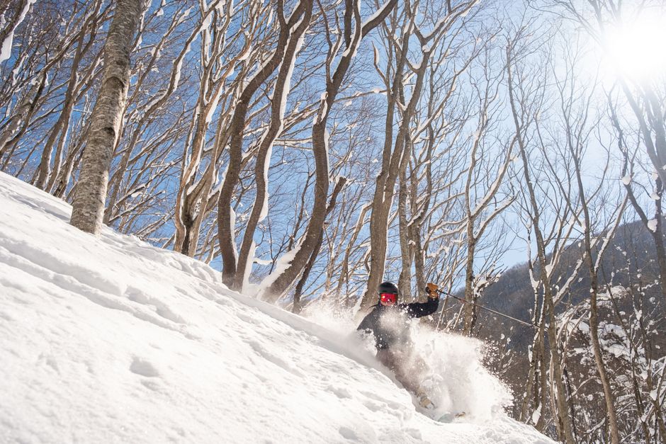 Hakuba Valley Ski & Snow Resort