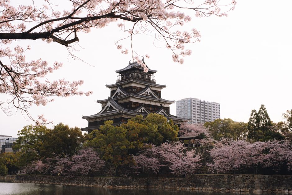 Imabari Castle Cherry Blossom Festival