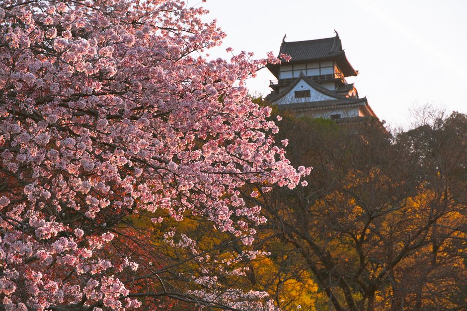 Inuyama Festival (Inuyama Matsuri)