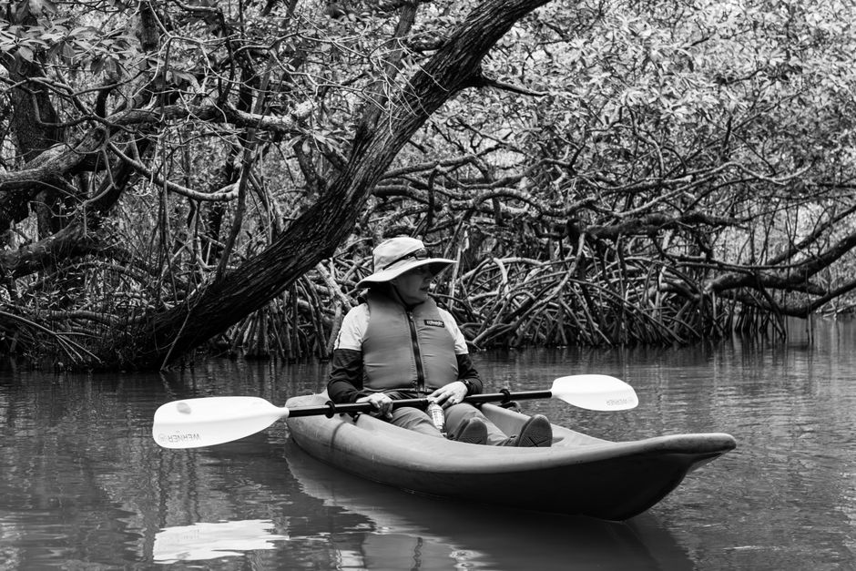 Iriomote Island Mangrove Kayaking