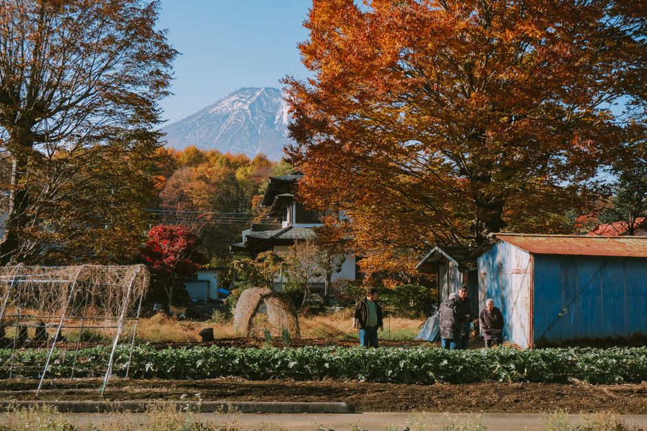 Koiwai Farm Autumn Harvest & Foliage