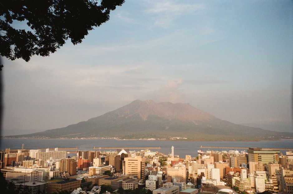 Shiroyama Park Cherry Blossom Viewing, Kagoshima