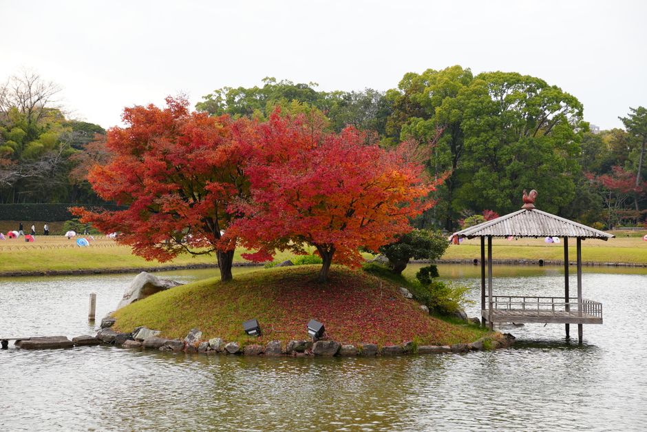 Kairakuen Garden Autumn Foliage Season