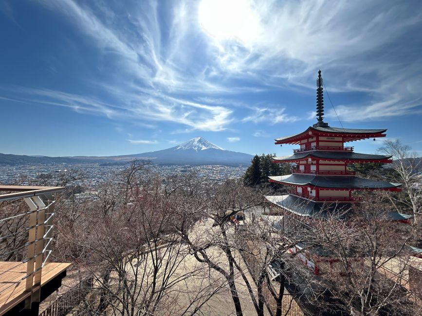 Shimizu Sengen Park Cherry Blossom Festival, Shizuoka