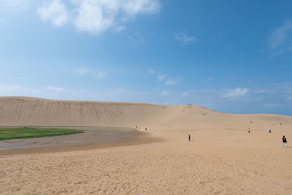 Tottori Sand Dunes & Cherry Blossom Combo Tour