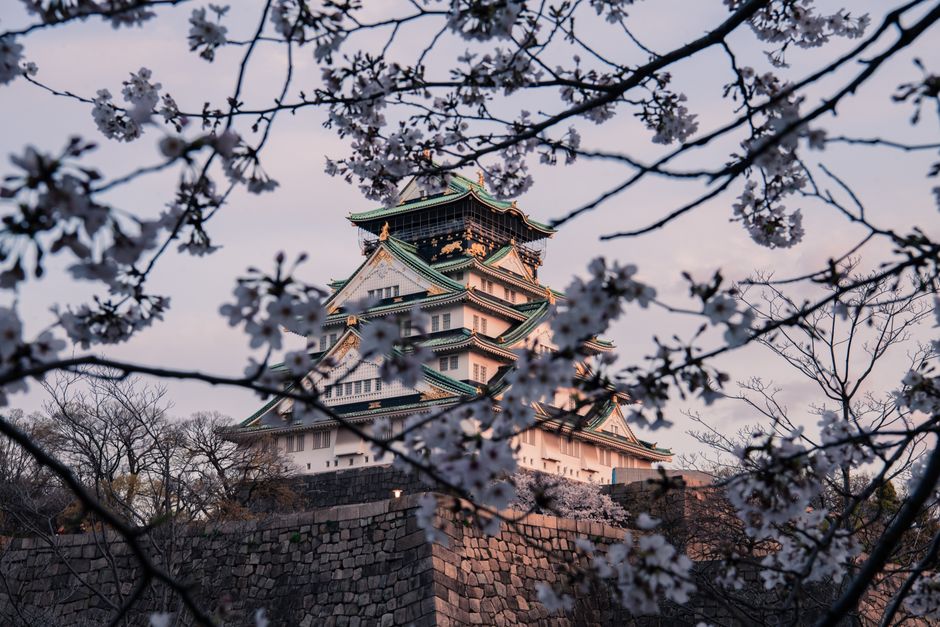 Osaka Castle Moat Hanami Boat Cruise