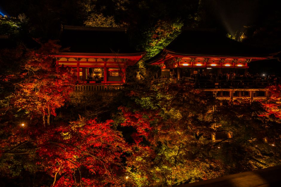 Kiyomizu-dera Autumn Foliage (清水寺紅葉)