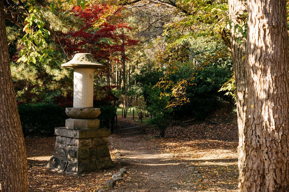 Zōzan Forest Autumn Walk, Kotohira