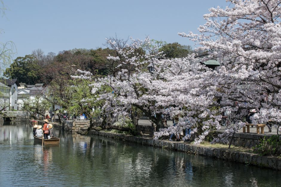 Kurashiki Bikan Autumn Festival