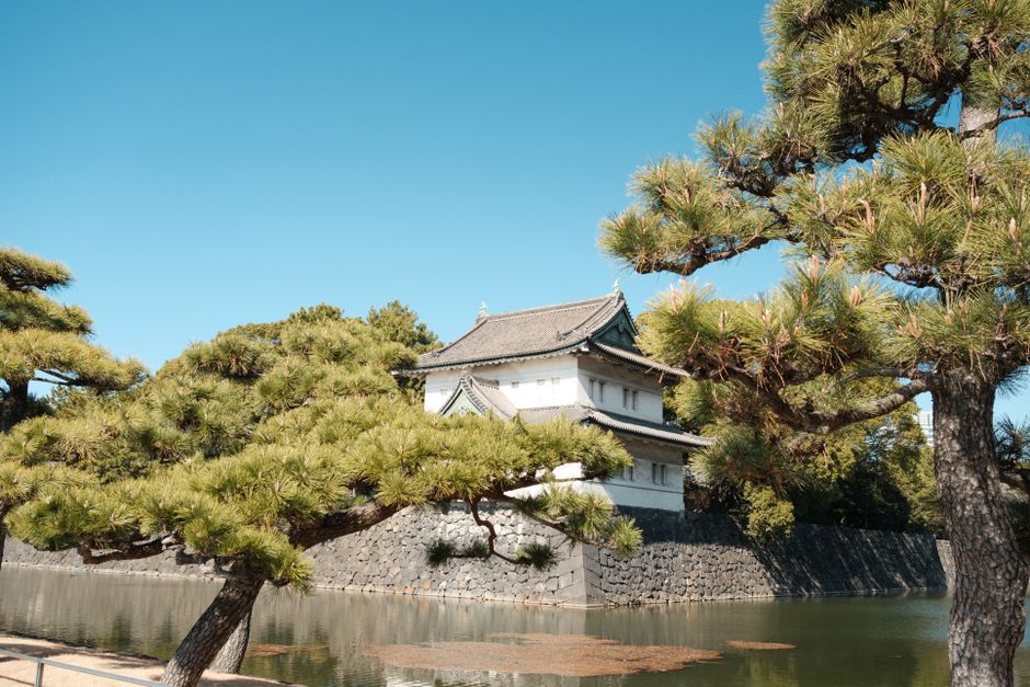Nijō-jō Castle (Nijo Castle), Kyoto