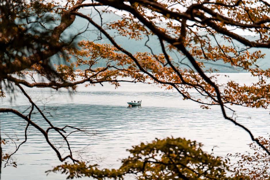 Lake Shikotsu Autumn Foliage Cruise (支笏湖紅葉クルーズ)