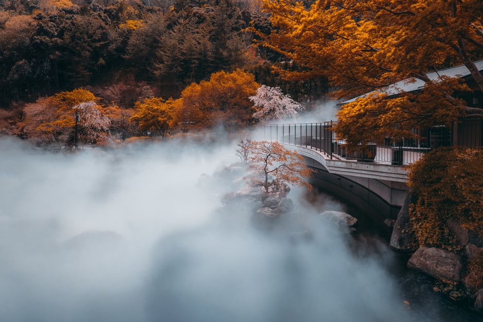 Minoo Park Autumn Leaves (箕面公園紅葉)