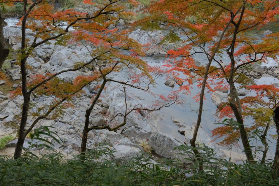 Mitake Valley (Mitake Keikoku) Autumn Foliage Walk