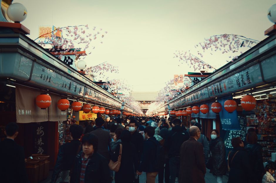 Nijo Market Spring Sakura Stroll (二条市場さくら散策)