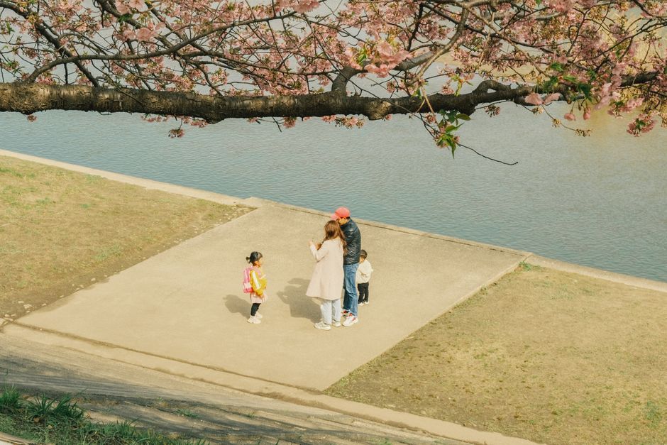 Okazaki Park Cherry Blossom Festival (Okazaki Sakura Matsuri)