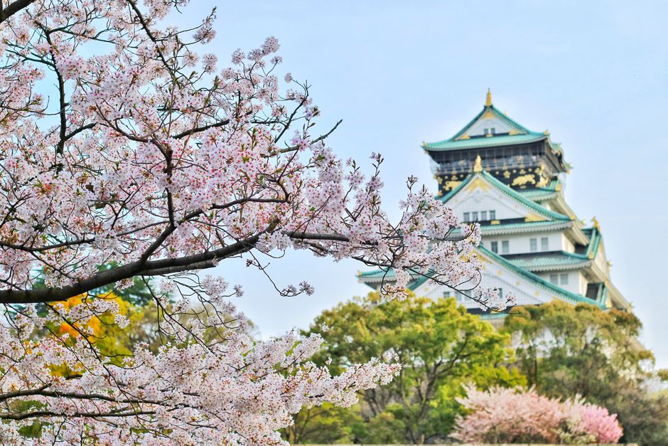 Osaka Mint Bureau Cherry Blossom Walkthrough (造幣局 桜の通り抜け)