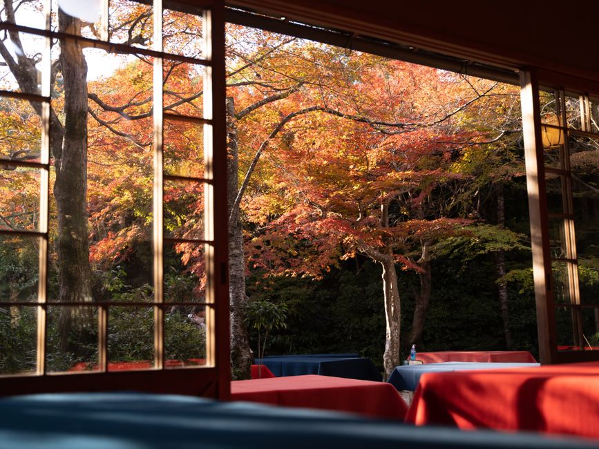 Rurikō-in Autumn Open House (瑠璃光院秋の特別拝観)