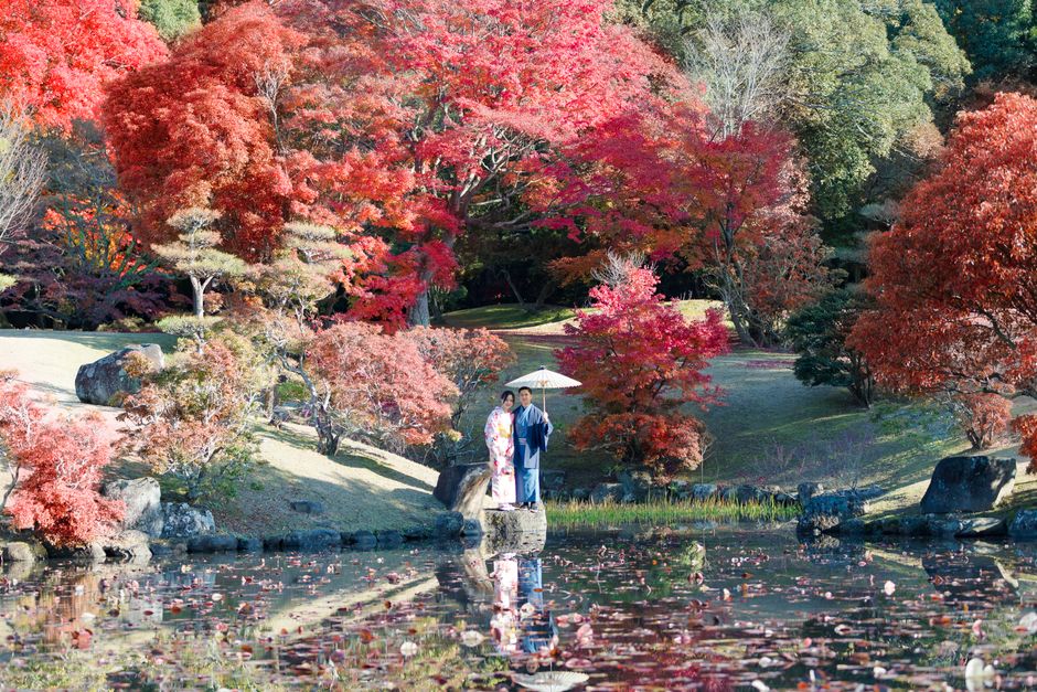 Sanboji Park Autumn Foliage (Sanboji Koen Koyo)