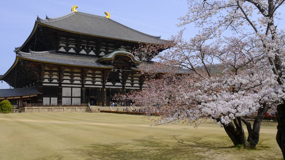 Isuien Garden & Nara Park Hanami (依水園・奈良公園花見)
