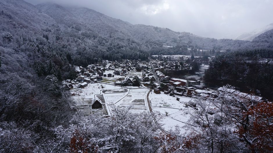 Shirakawa-go Winter Light-Up
