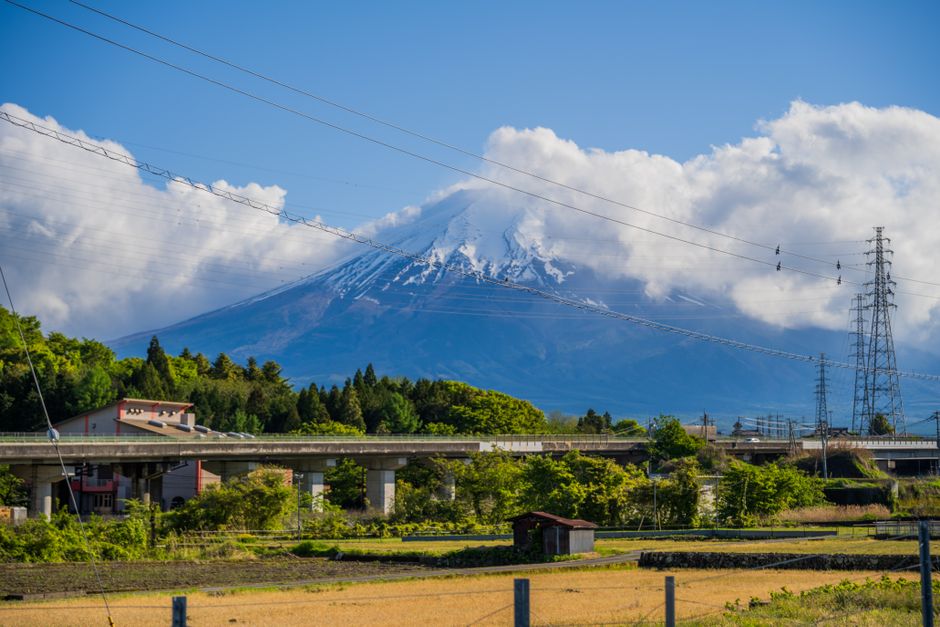 Shizuoka Sincha Tea Harvest Festival (Shin-cha Matsuri)