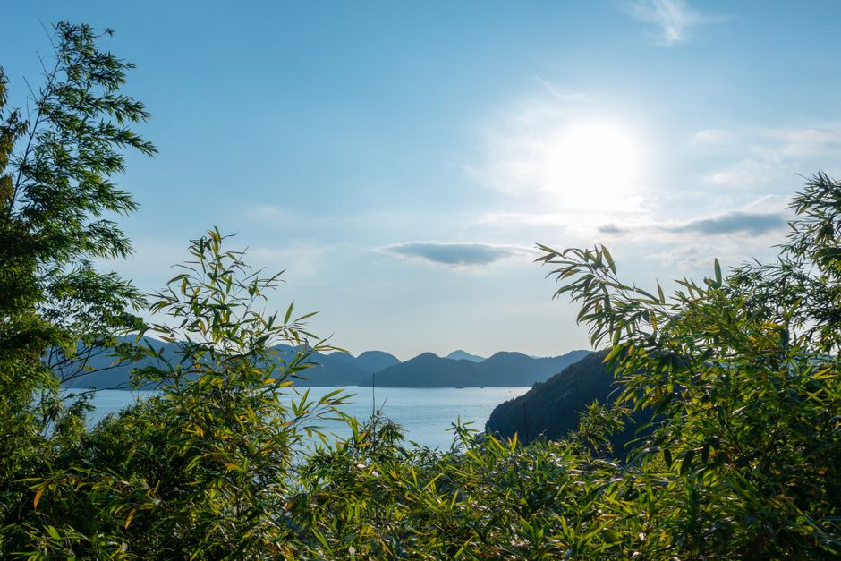 Shodoshima Olive Island & Seto Inland Sea Experience