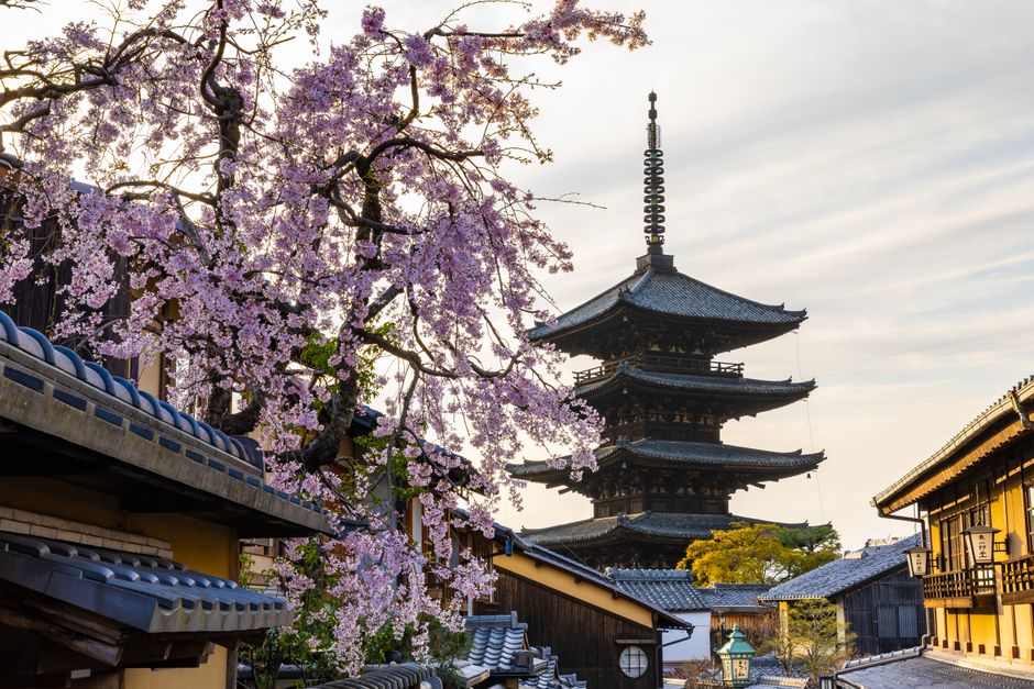 Takayama Higashiyama Sakura Walking Trail
