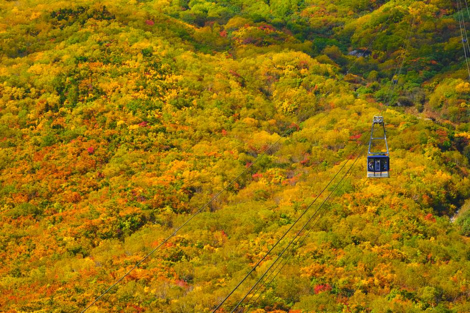 Tateyama Kurobe Alpine Route Autumn Traverse