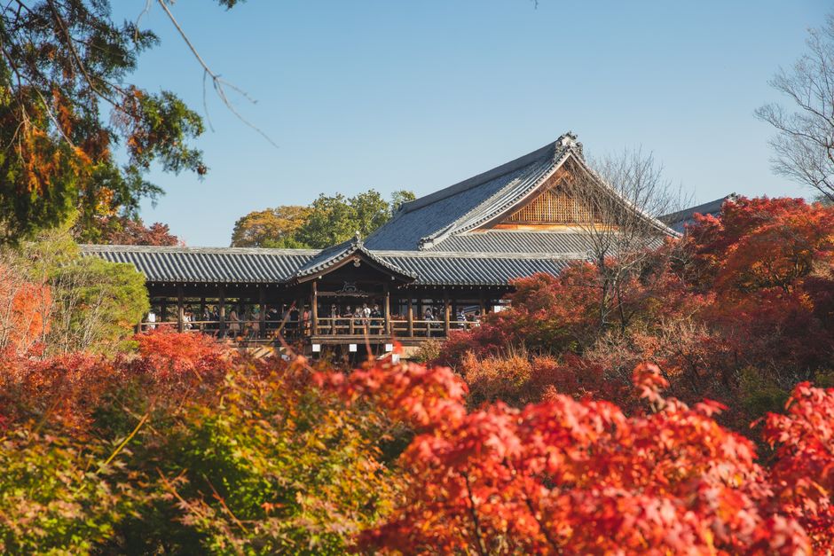 Tōfuku-ji Autumn Foliage (東福寺紅葉)