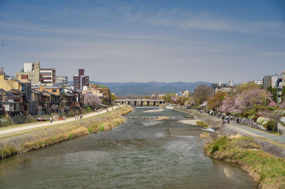 Tokushima Shinmachi Riverwalk Cherry Blossom Promenade