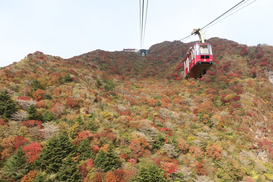 Mount Tsukuba Autumn Foliage Season (Tsukuba-san Koyo)