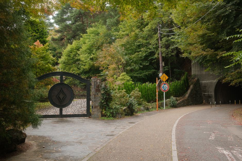 Kiyotsu Gorge Autumn Foliage & Tunnel of Light