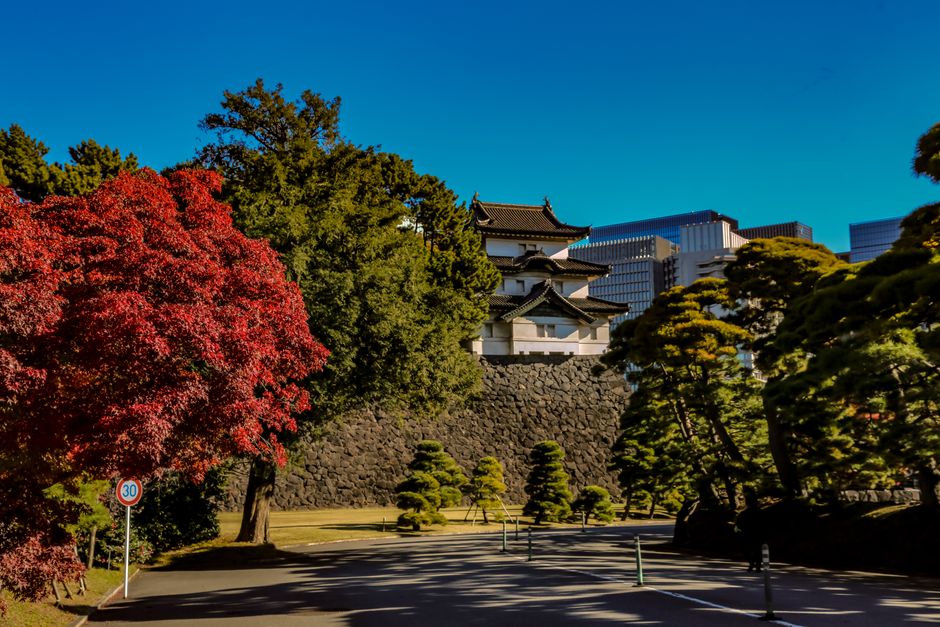 Kakuzan Park Autumn Foliage, Tsuyama