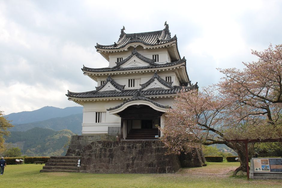 Uwajima Castle Cherry Blossom Hanami