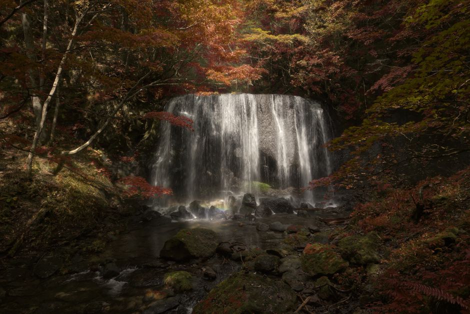 Yugawara Autumn Foliage Season & Fudo Waterfall Walk