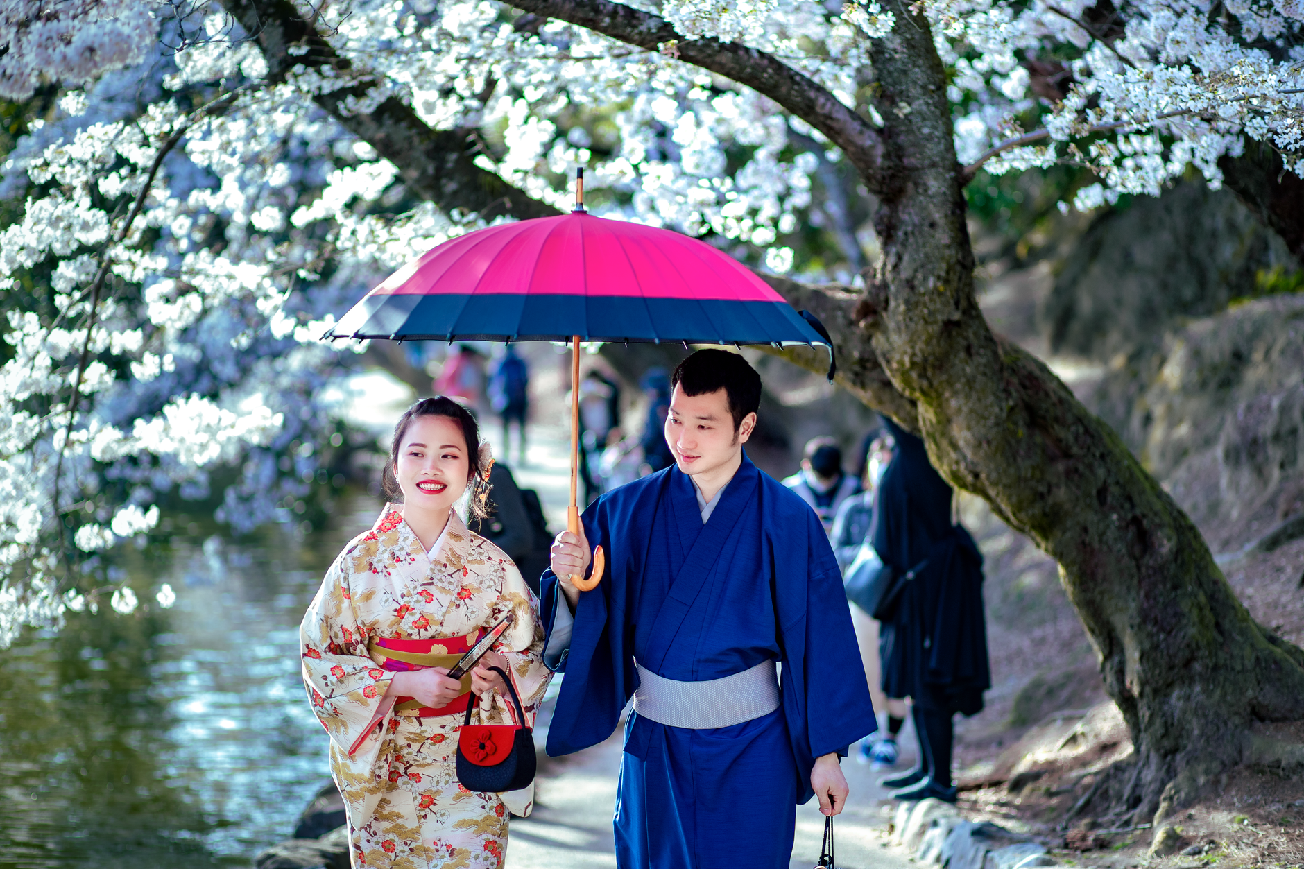 Cherry Blossom Weddings in Japan: When & Where